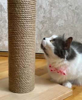Wooden cat scratching post Wooden cat scratching post