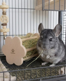 Wooden flower-shaped hay feeder for pets