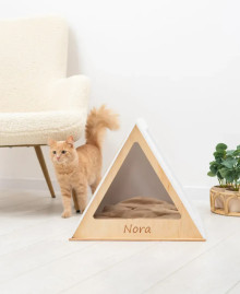 A wooden cat house