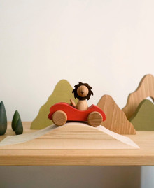Wooden toy set "First Journey"