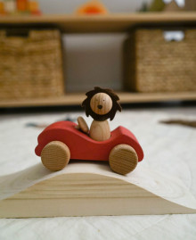 Wooden toy set "First Journey"