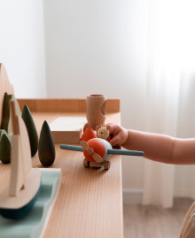 Wooden toy set "Towards the horizon"