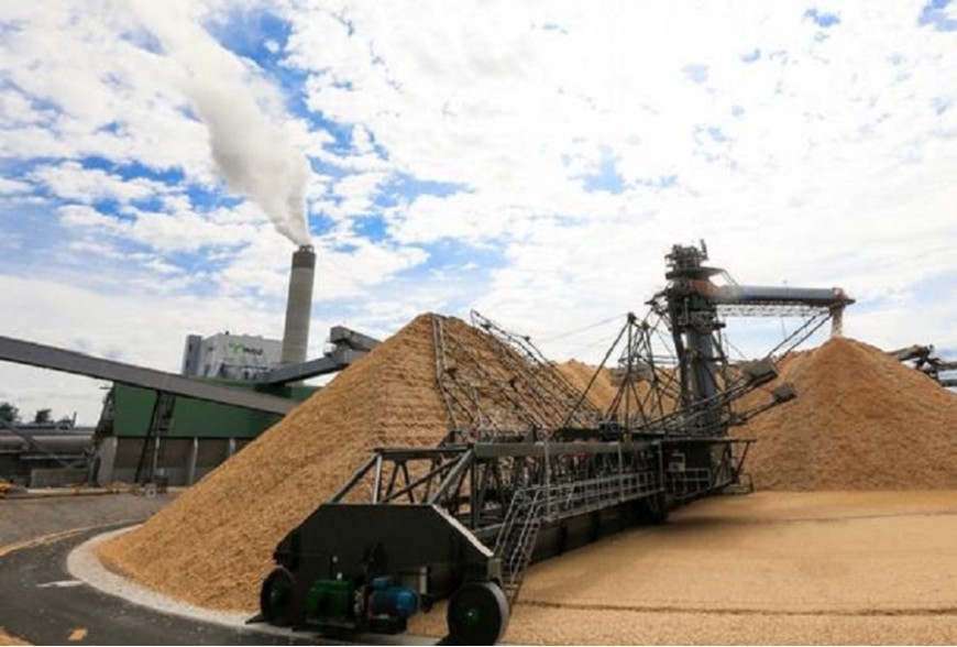 Що таке біоекономіка?