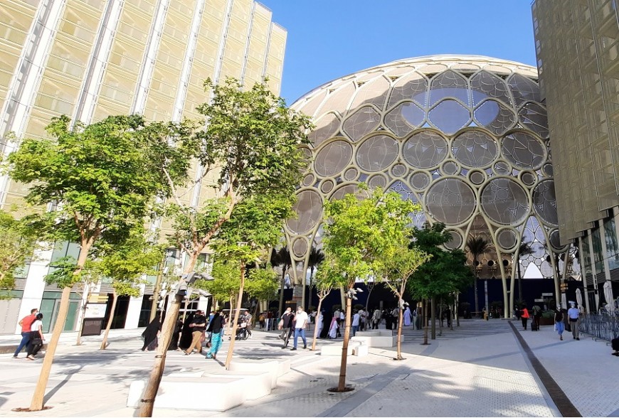 Wooden Pavilions at EXPO 2020