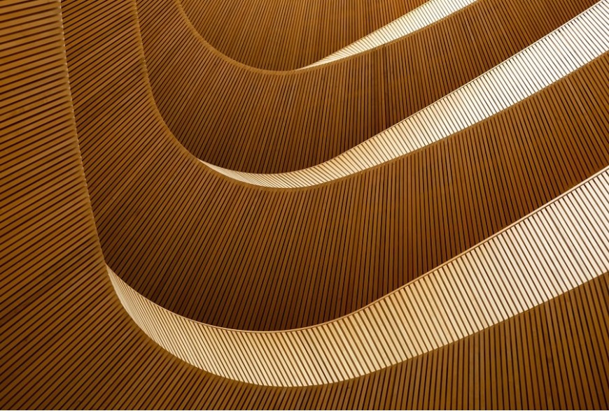 Майбутнє деревообробної галузі