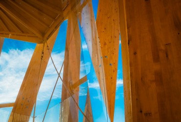 Глобальний ринок деревини 2026